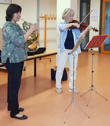 Geige und Horn von Profis präsentiert