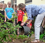 Frau Jacob-Schmitt hilft beim Baumpflanzen