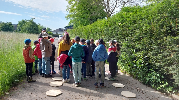 Klassen 3 bei den Waldjugenspielen