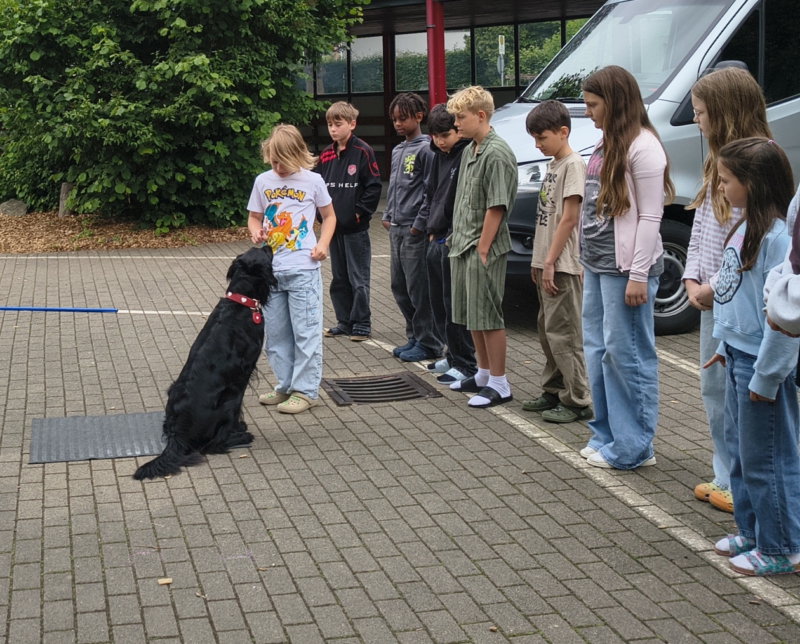 Schulhund vor der Klasse