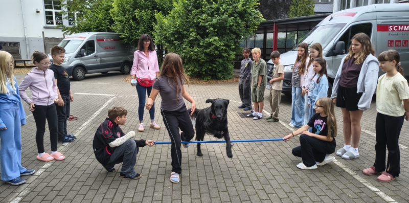 Übungen mit dem Schulhund